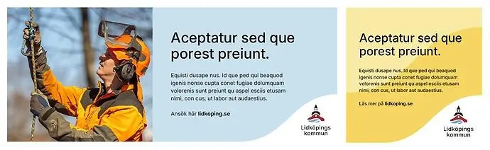 Exempel digital annons